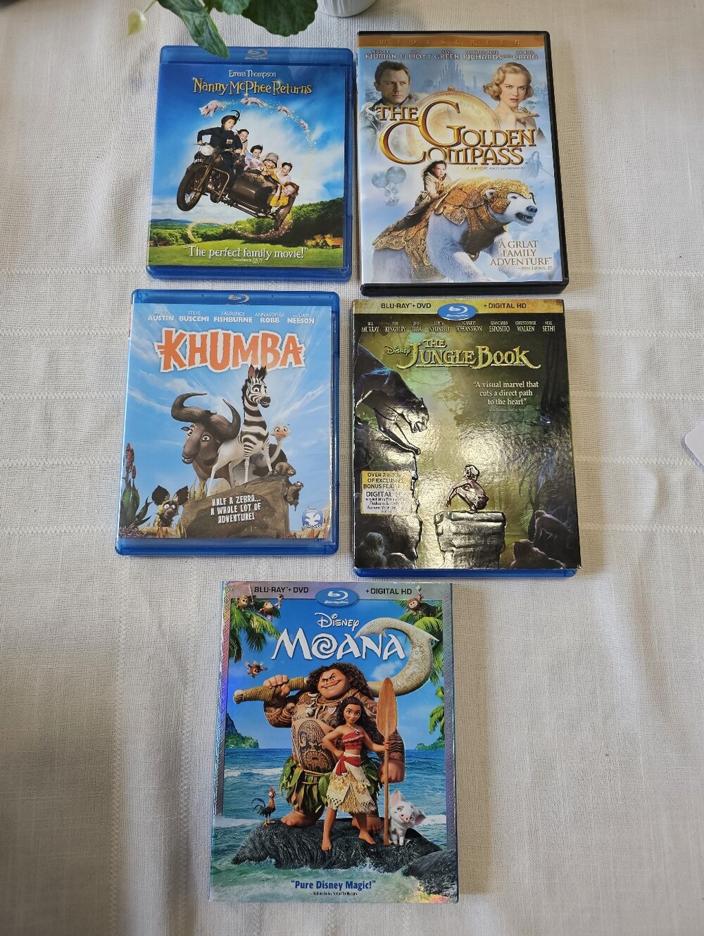 Family DVD And BluRay Movies (5)